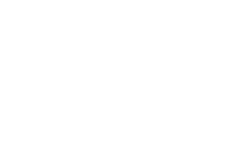 Cavicchioli Logo